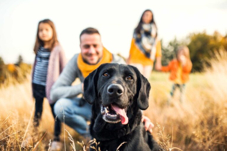Family with black labrador dog in autumn field, Perth lawyers for Wills and Estate Planning. Codicils advice for families in Perth.