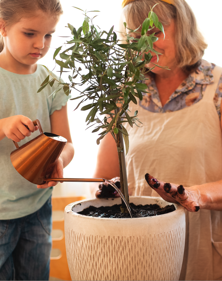 Perth Deceased Estates Lawyers: Grandmother and grandchild watering plant.